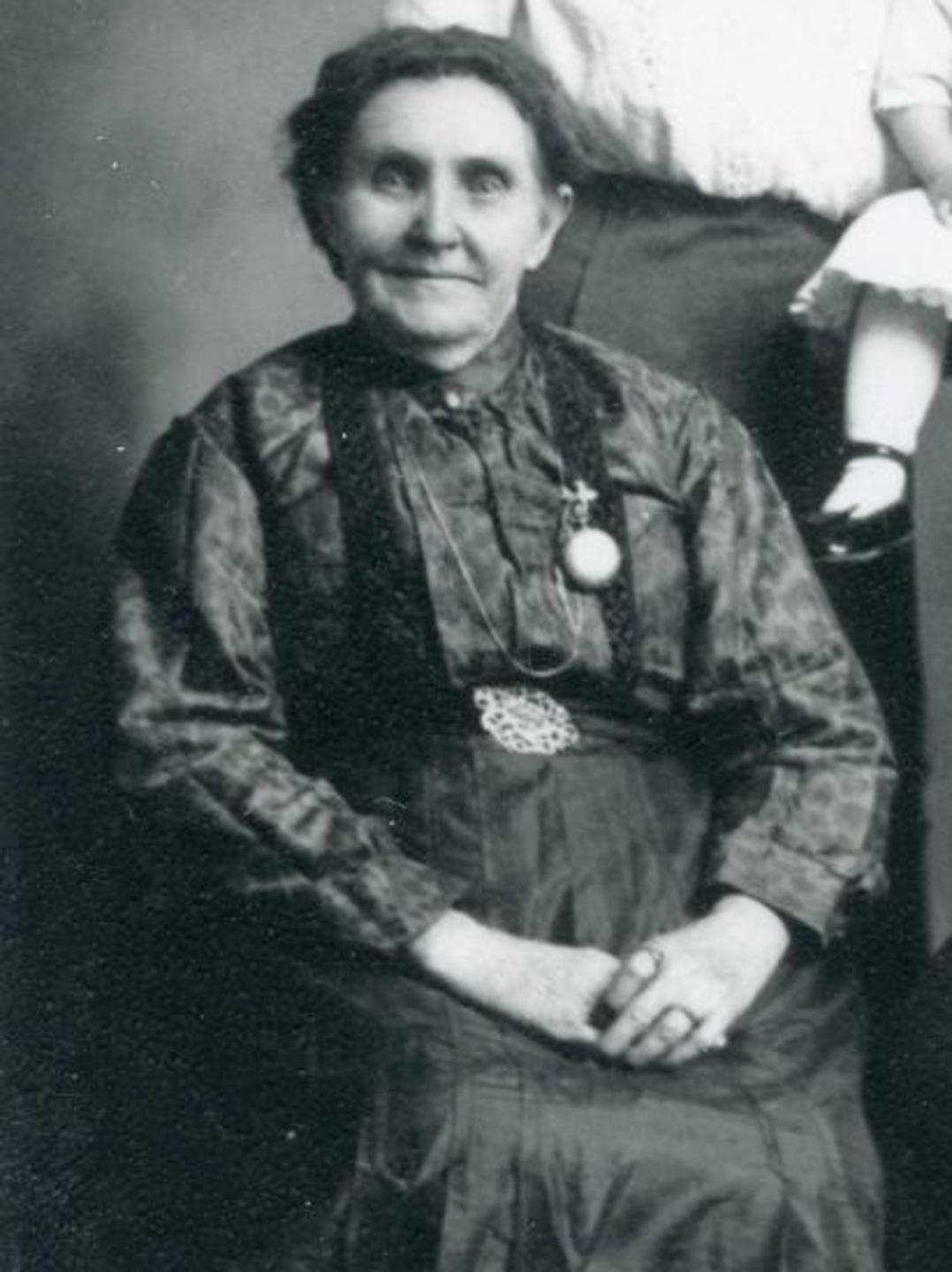 Lucy Lovisa Higley McClintock (1841 - 1919) Profile